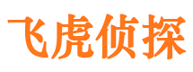 上甘岭市侦探公司